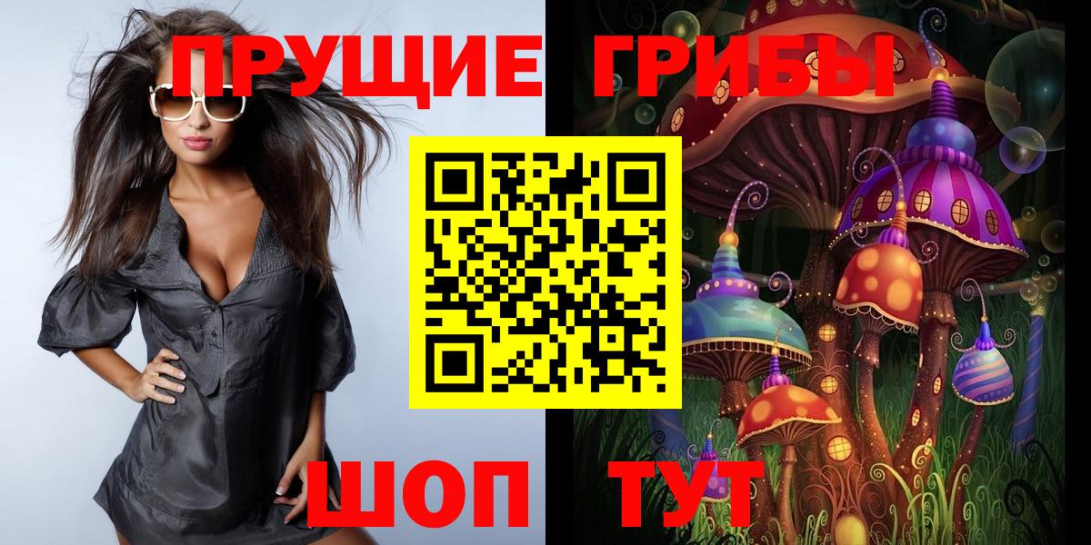 Псилоцибиновые грибы прущие грибы  Вход с VPN  Грозный 